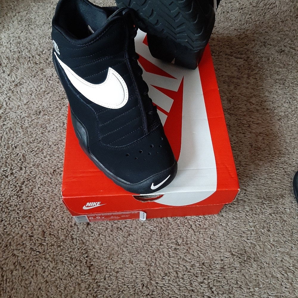Nike Air Shake Ndestrukt (GS)
